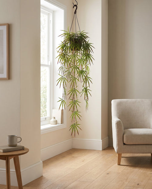 100cm Artificial Hanging Acer Plant styled in a room