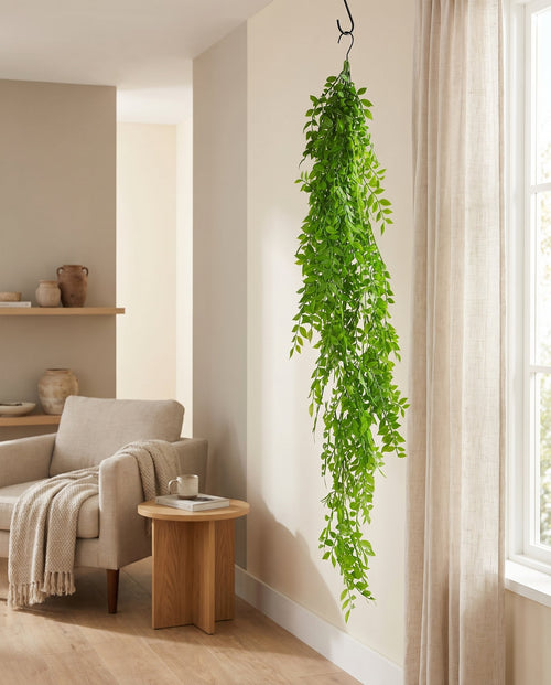 100cm Hanging String of Pearls Fern Plant Light Green styled in a room