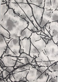 Balletto 19Na Beige/Anthra Rug