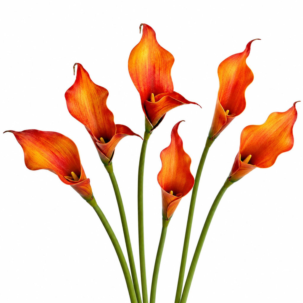 Pack of 6 x 70cm Artificial Orange Calla Lily Stems