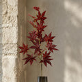 90cm Artificial Red Japanese Maple Leaf Spray
