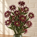 Pack of 6 x 72cm Artificial Burgundy Spider Lily Stems