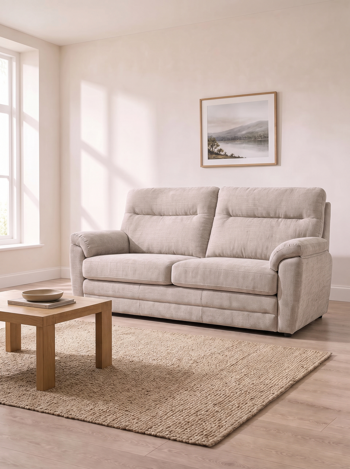 Elsa 2.5 Seater – in a living room