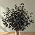 Pack of 6 x 80cm Black Eucalyptus Foliage Stem styled in a room