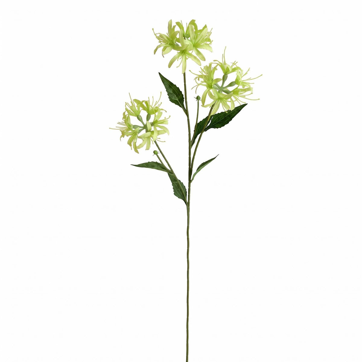 Pack of 6 x 72cm Artificial Lime Green Spider Lily Stems