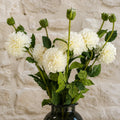 Pack of 6 x 75cm Artificial Dahlia PomPom Flower Stem Cream styled in a room