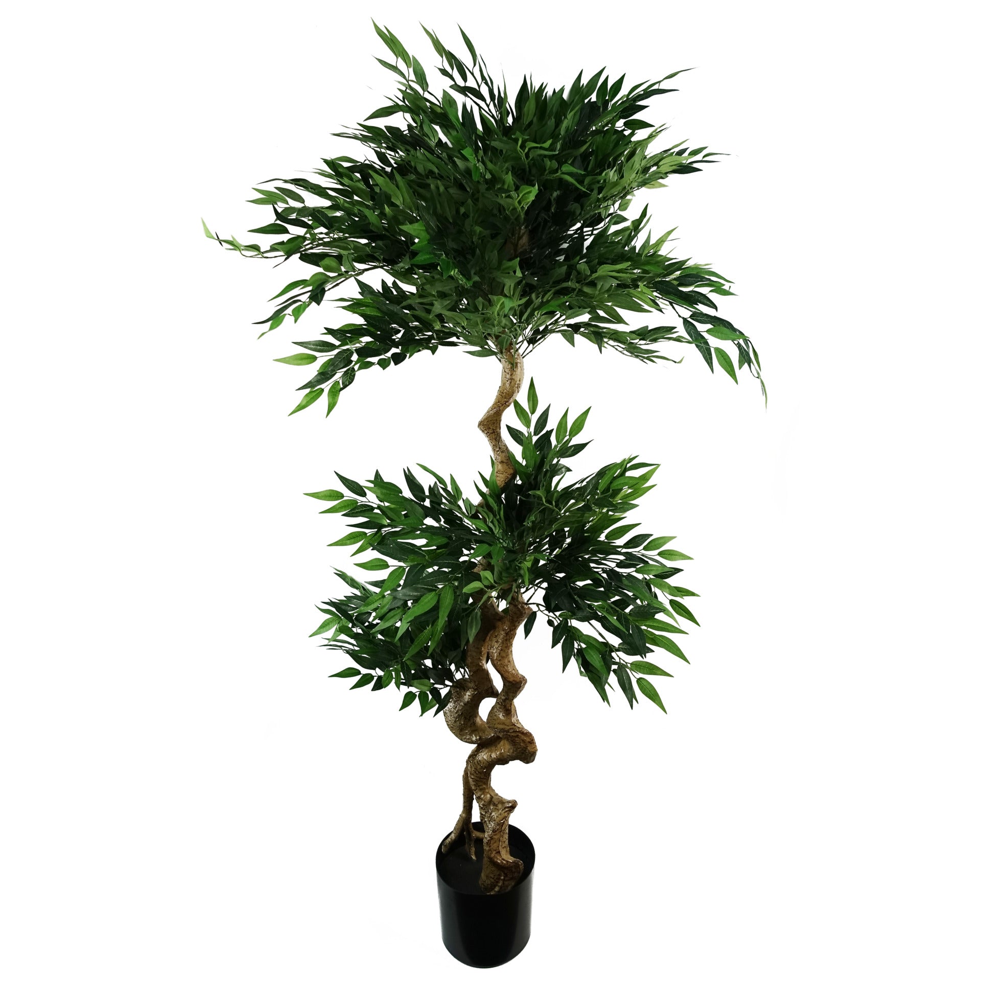 160cm Ruscus Double Twist Trunk Natural Look Japanese Tree