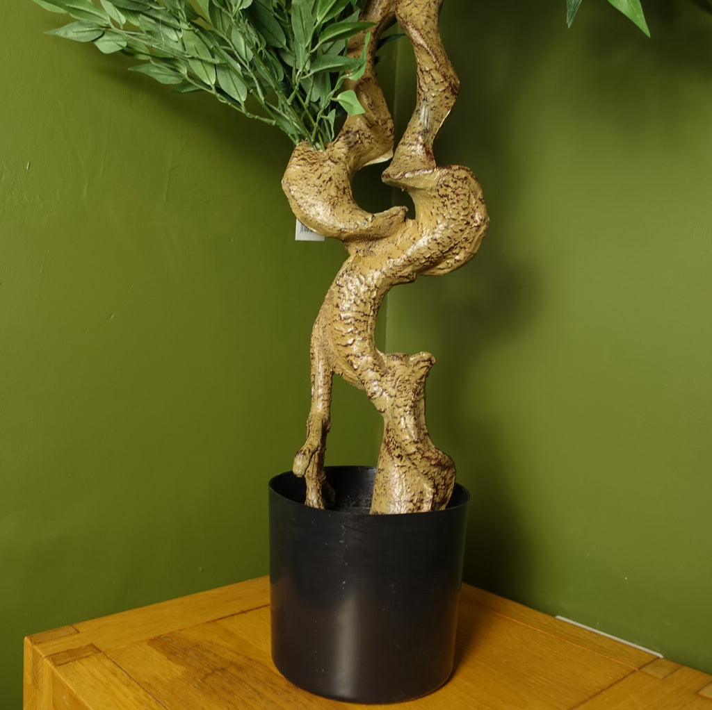 160cm Japanese Ruscus Tree Double Twist Trunk Natural Look