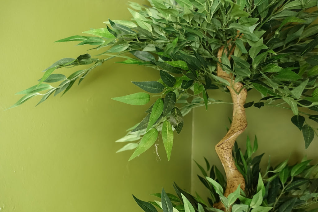 160cm Japanese Ruscus Tree Double Twist Trunk Natural Look