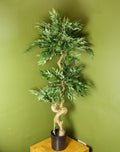 160cm Japanese Ruscus Tree Double Twist Trunk Natural Look