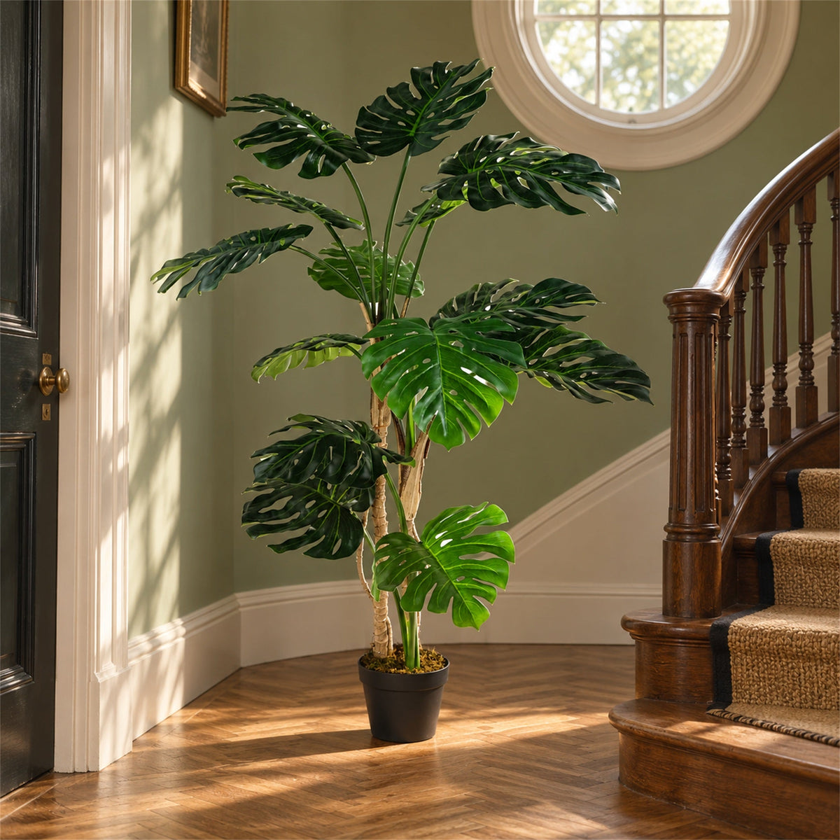 150cm (5ft) Luxury Monstera Plant Black Pot