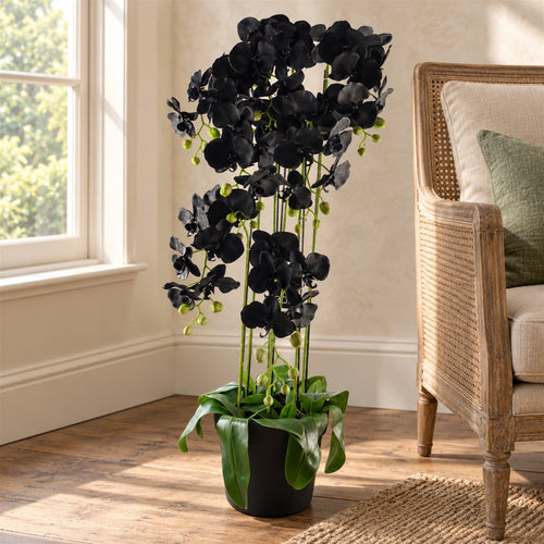 110cm Large Black Orchid Plant - Artifcial - 41 REAL TOUCH flowers