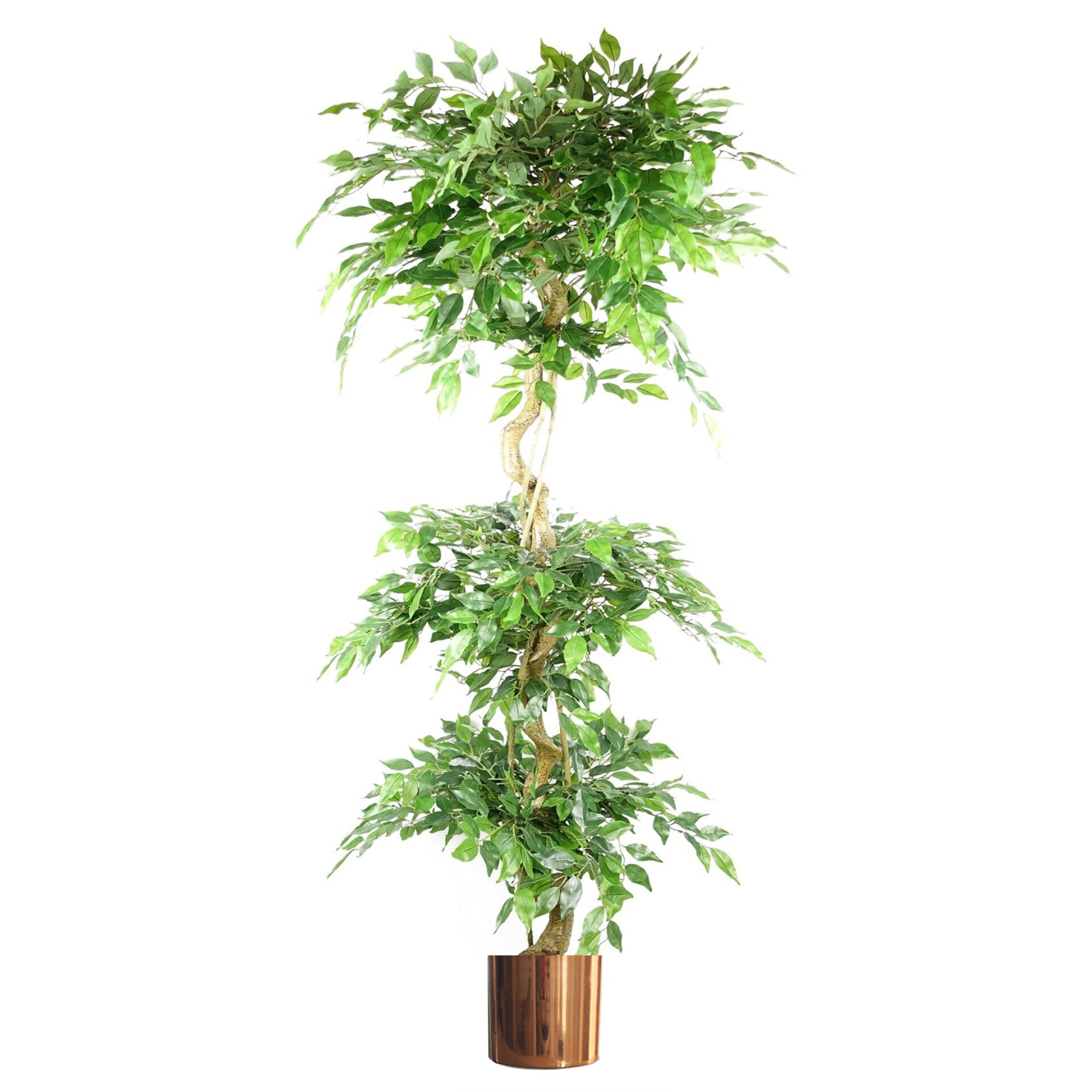 180cm Artificial Twisted Trunk Fruticosa Ficus Tree Triple Ball Topiary 1984 Leaves Copper Metal Planter