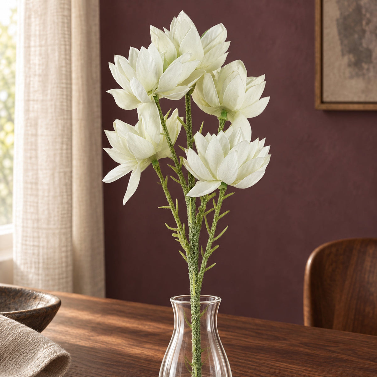 60cm White Starflower Stem - 5 Flowers