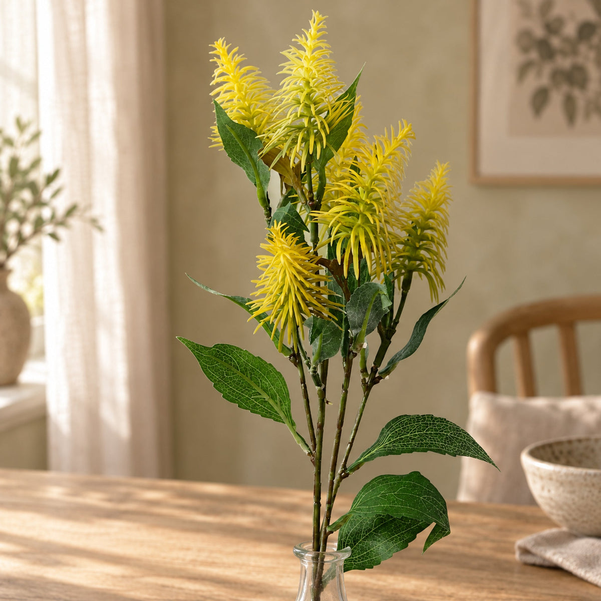 55cm Callistemon Pallidus Yellow Bottle Brush Stem