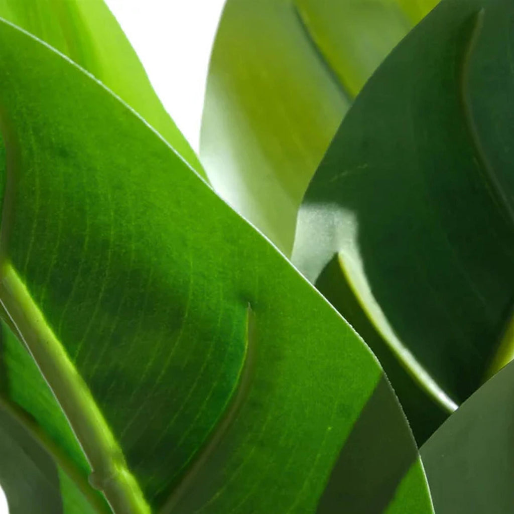 Pack of 6 x 45cm Artificial Aureum Plant