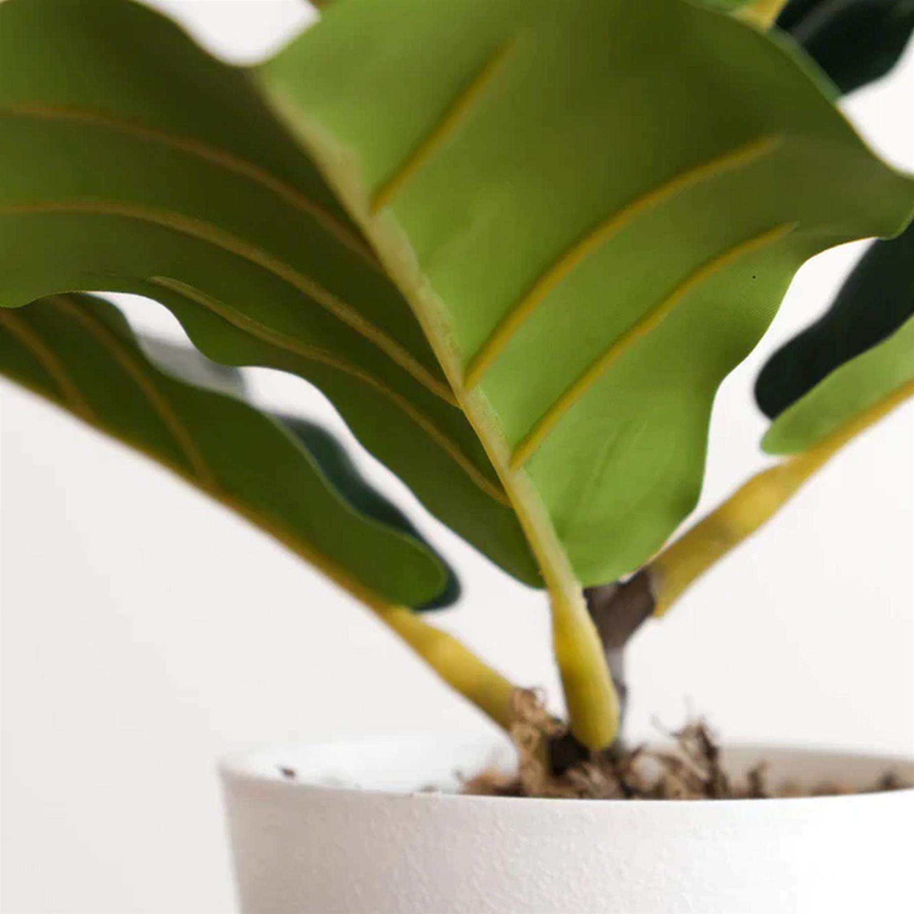 38cm Potted Artificial Fiddle Fig Plant