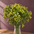 Pack of 6 x 55cm Gypsophila Yellow Stem styled in a room