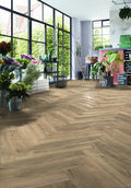 D 4764 Treviso Oak