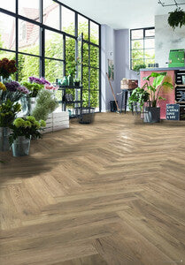 D 4764 Treviso Oak