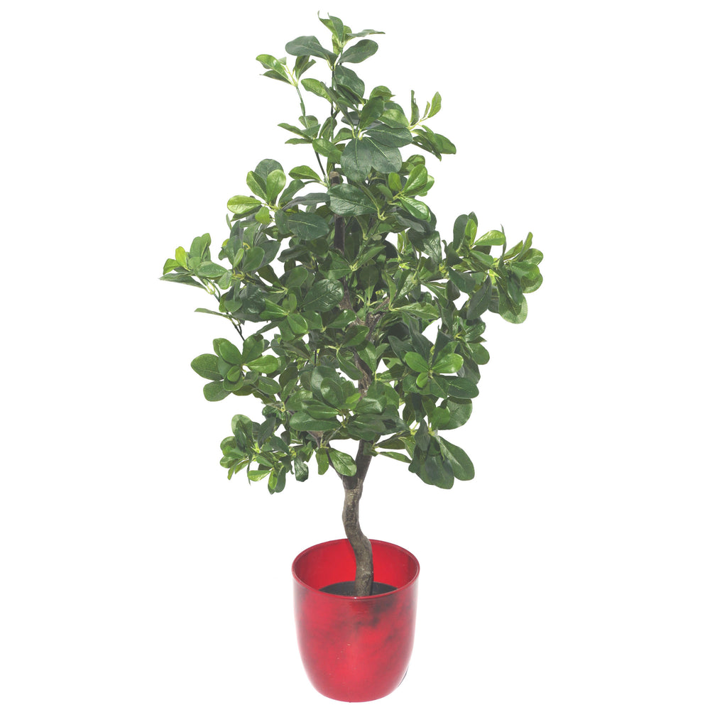 102cm Geranium Aralia (Polyscias Guilfoylei) Artificial Plant Tree