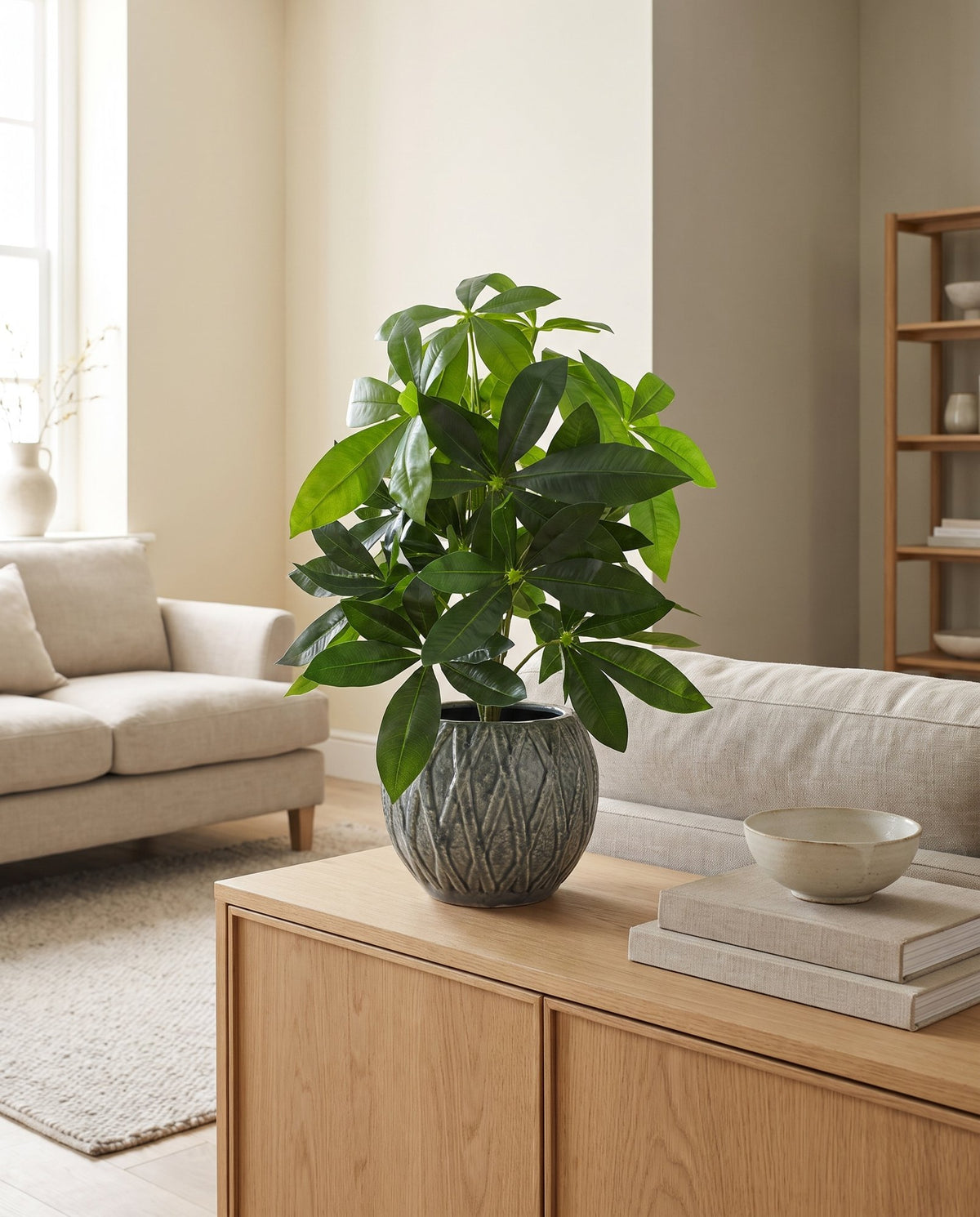 50cm Artificial Money Tree Plant styled in a room