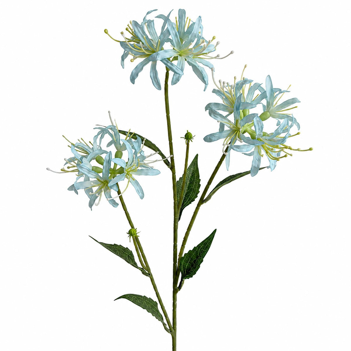 72cm Artificial Light Blue Spider Lily Stem