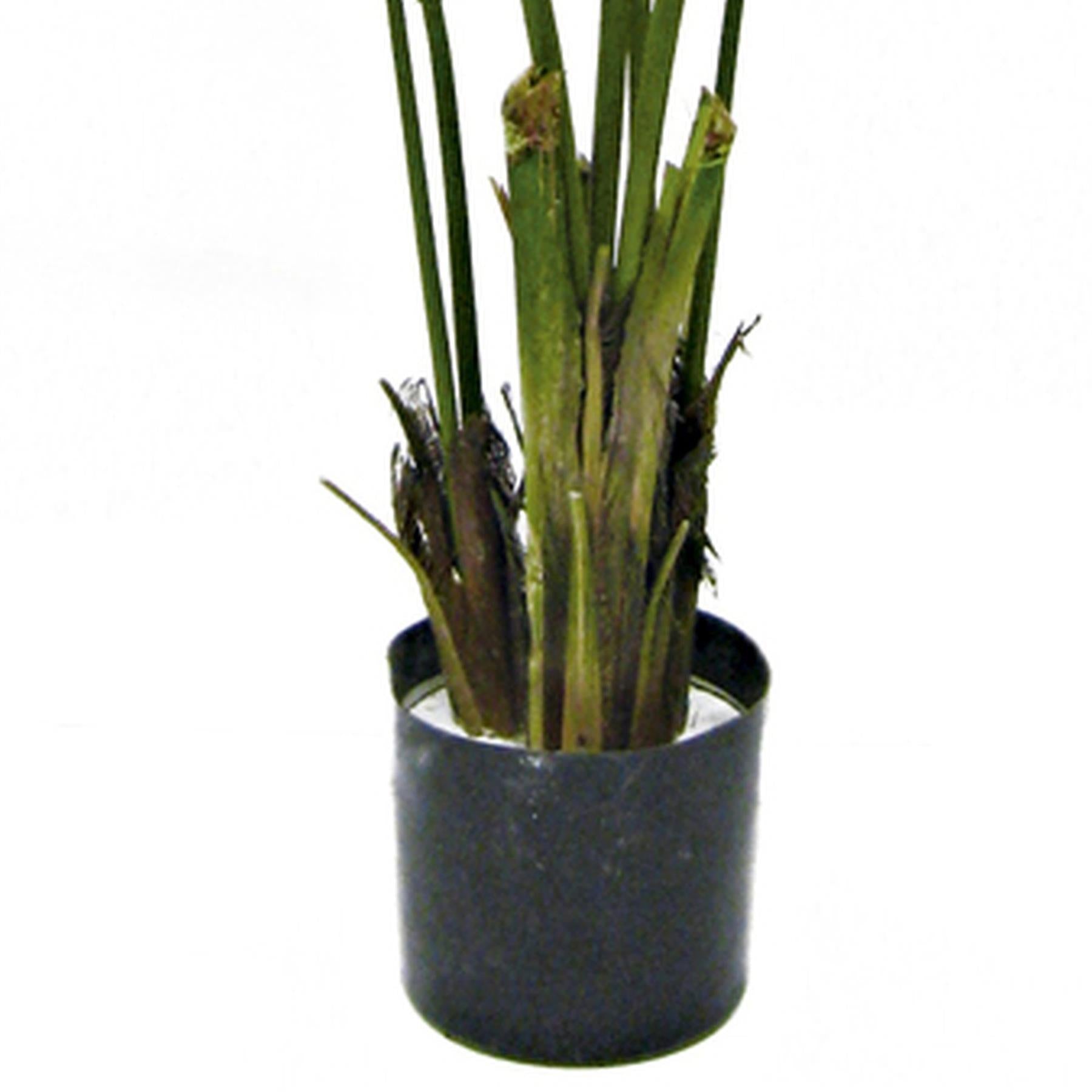 150cm Artificial Kentia Palm Tree