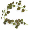 160cm Artificial Watermelon Peperomia Leaf Garland Hanging Decoration