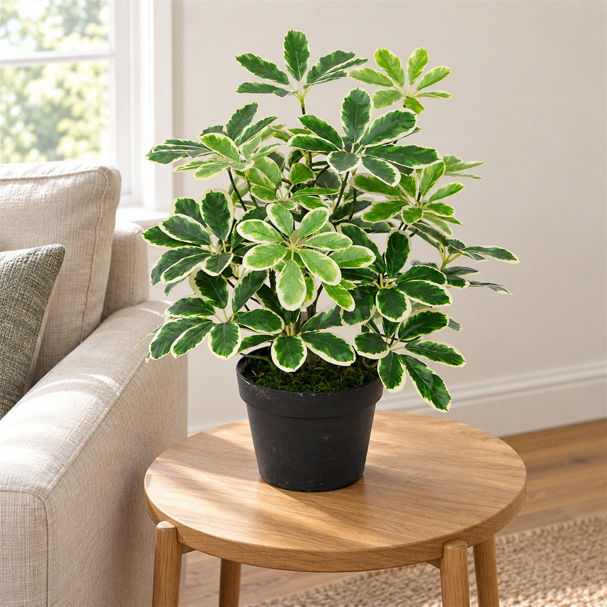 55cm Variegated Artificial Schefflera Arboricola Plant