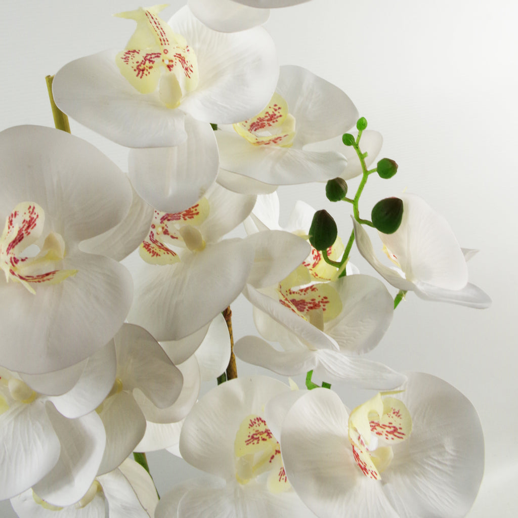 70cm Artificial Orchid White