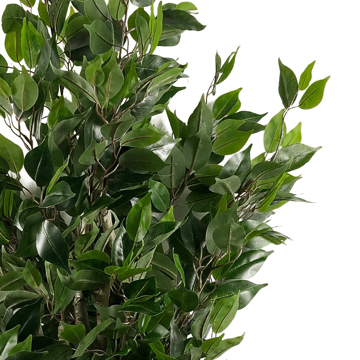 110cm Leaf Realistic Artificial Ficus Tree / Plant Multicolour Planter