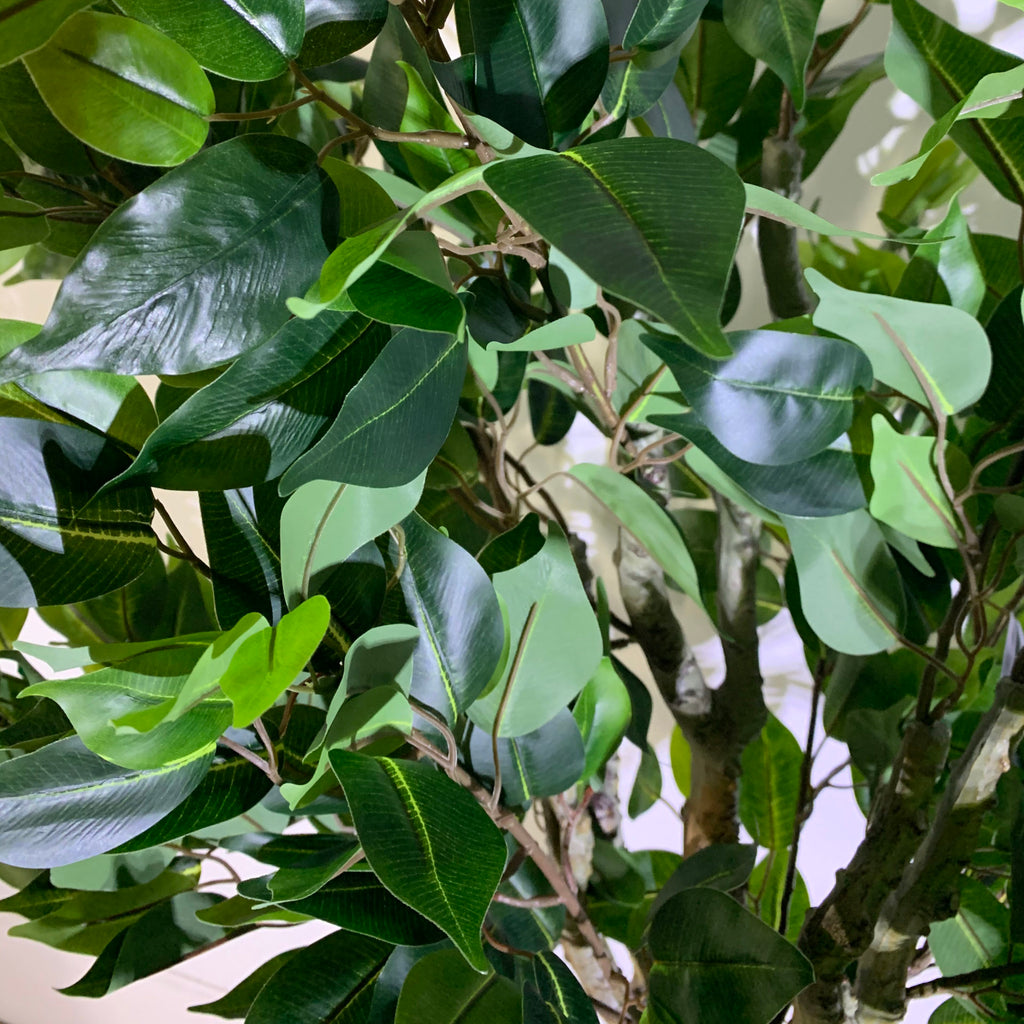 110cm Artificial Evergreen Ficus Tree