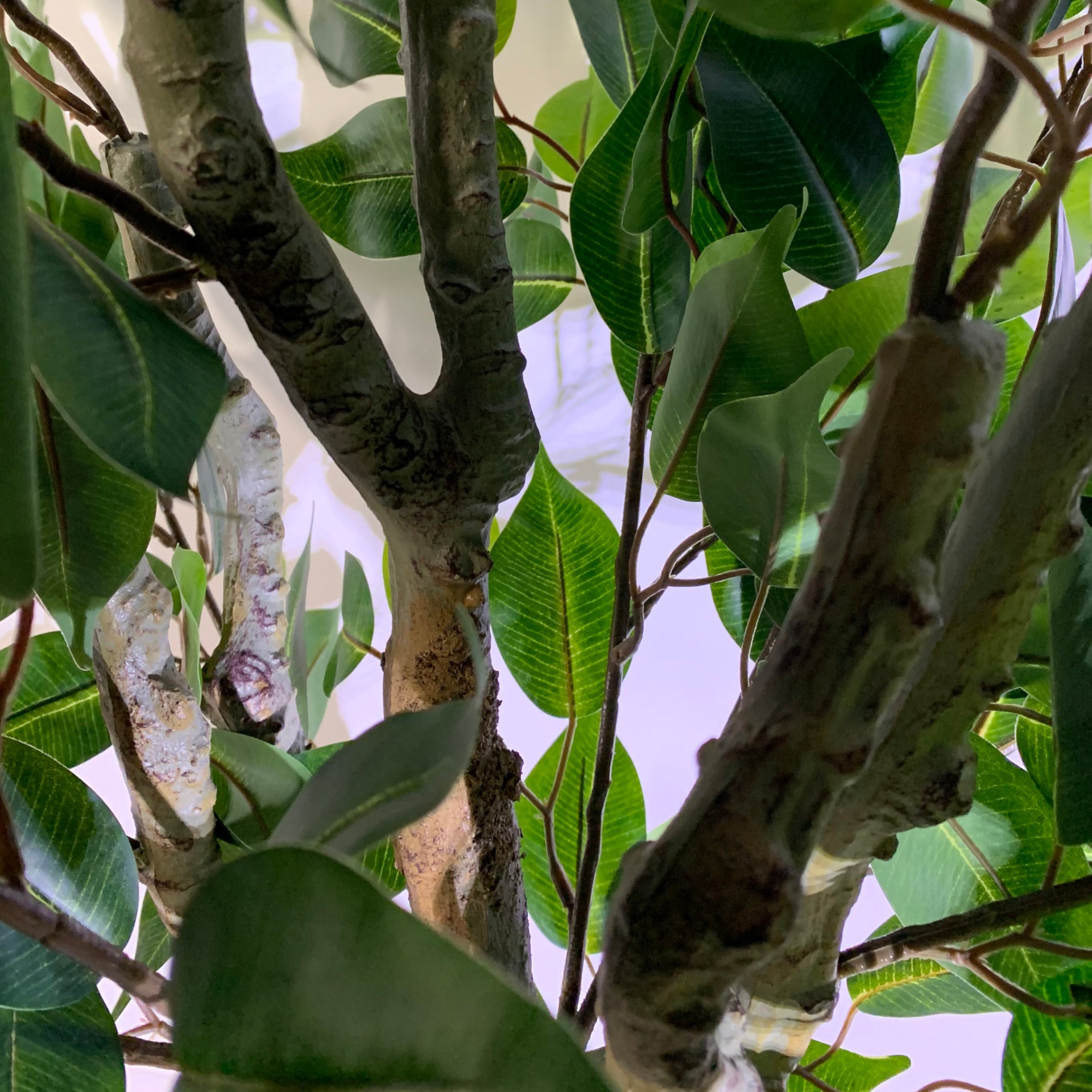 100cm Leaf Realistic Artificial Ficus Tree / Plant Bush Ficus Multicolour Planter