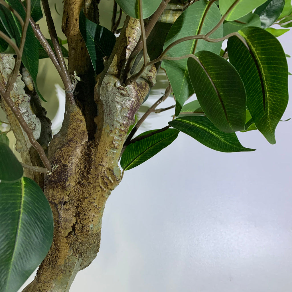 110cm Artificial Evergreen Ficus Tree