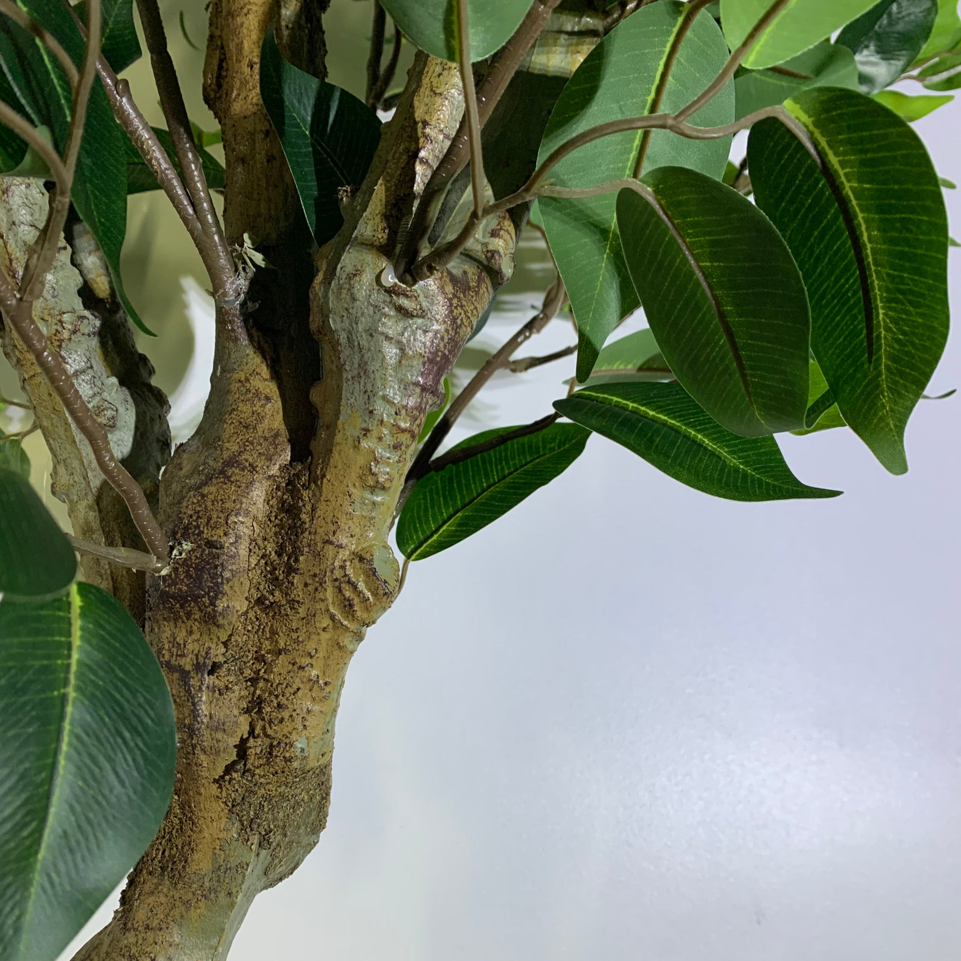100cm Premium Artificial Ficus Twist Tree Silver Curve Planter