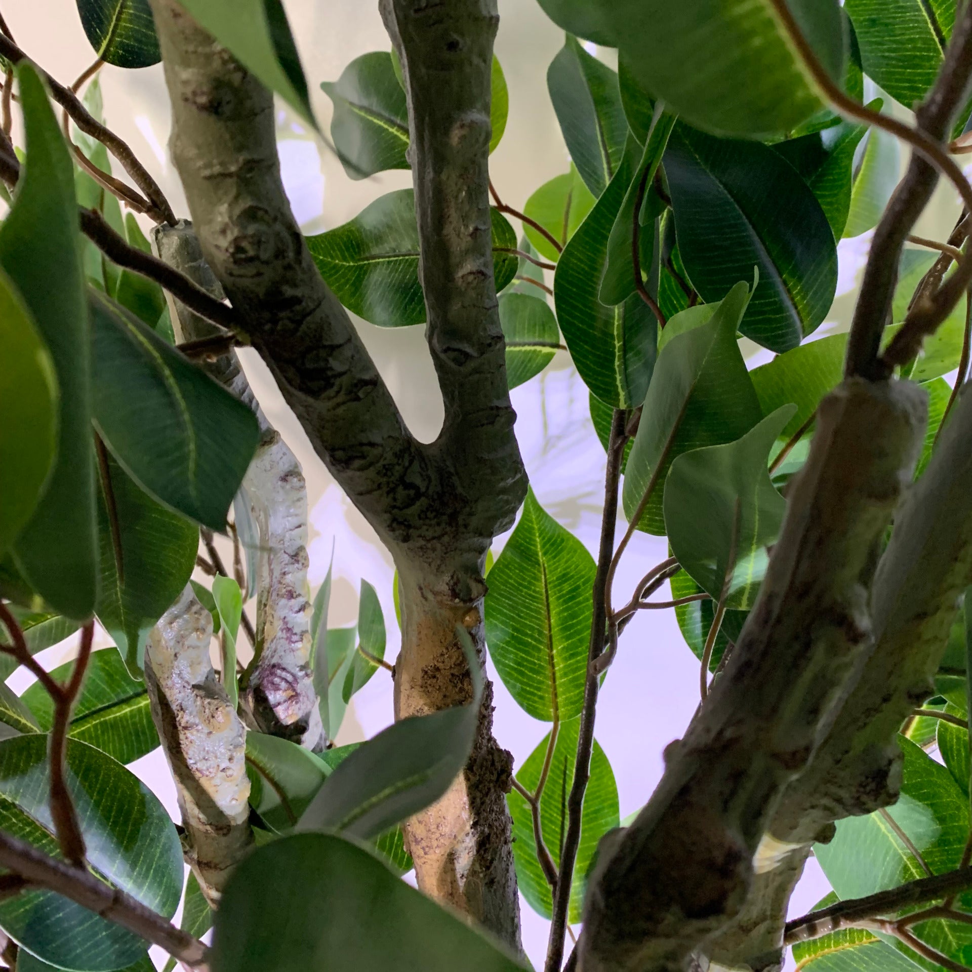 100cm Premium Artificial Ficus Twist Tree Gold Curve Planter