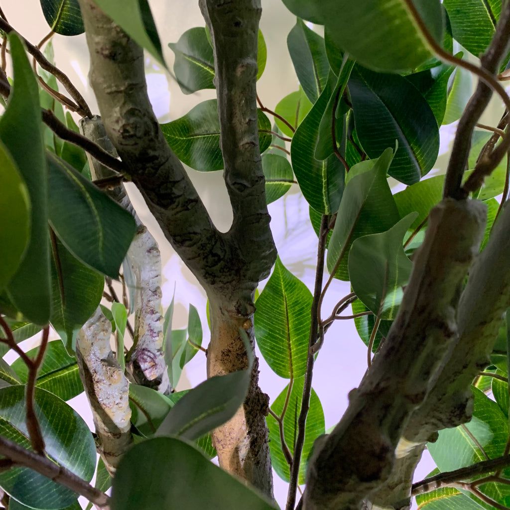 100cm Premium Artificial Ficus Twist Tree Copper Curve Planter