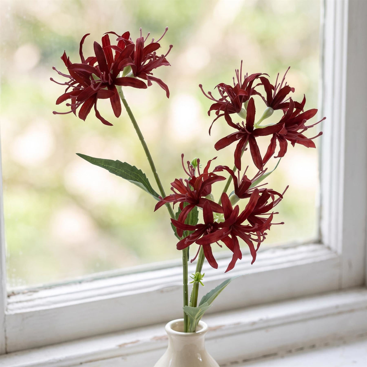 Pack of 6 x 72cm Artificial Burgundy Spider Lily Stems