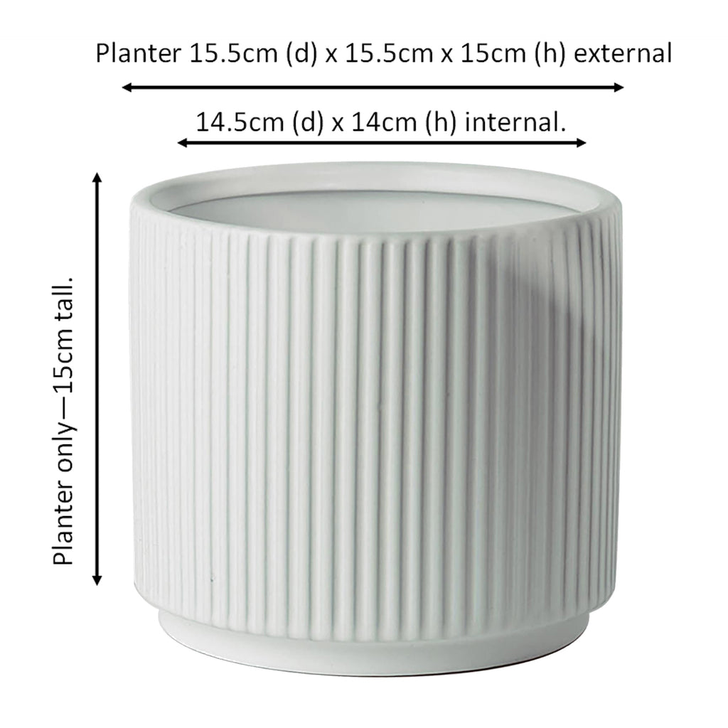 White Ribbed Ceramic Plant Pot 16 x 16 x 15cm