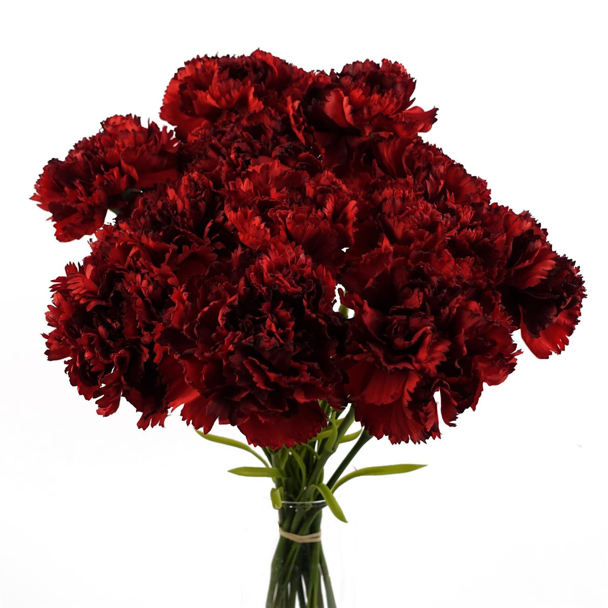 Pack of 6 x 57cm Red Carnation Artificial Flowers