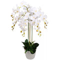 85cm Artificial Deluxe Bush Orchid - White Flowers White Pot