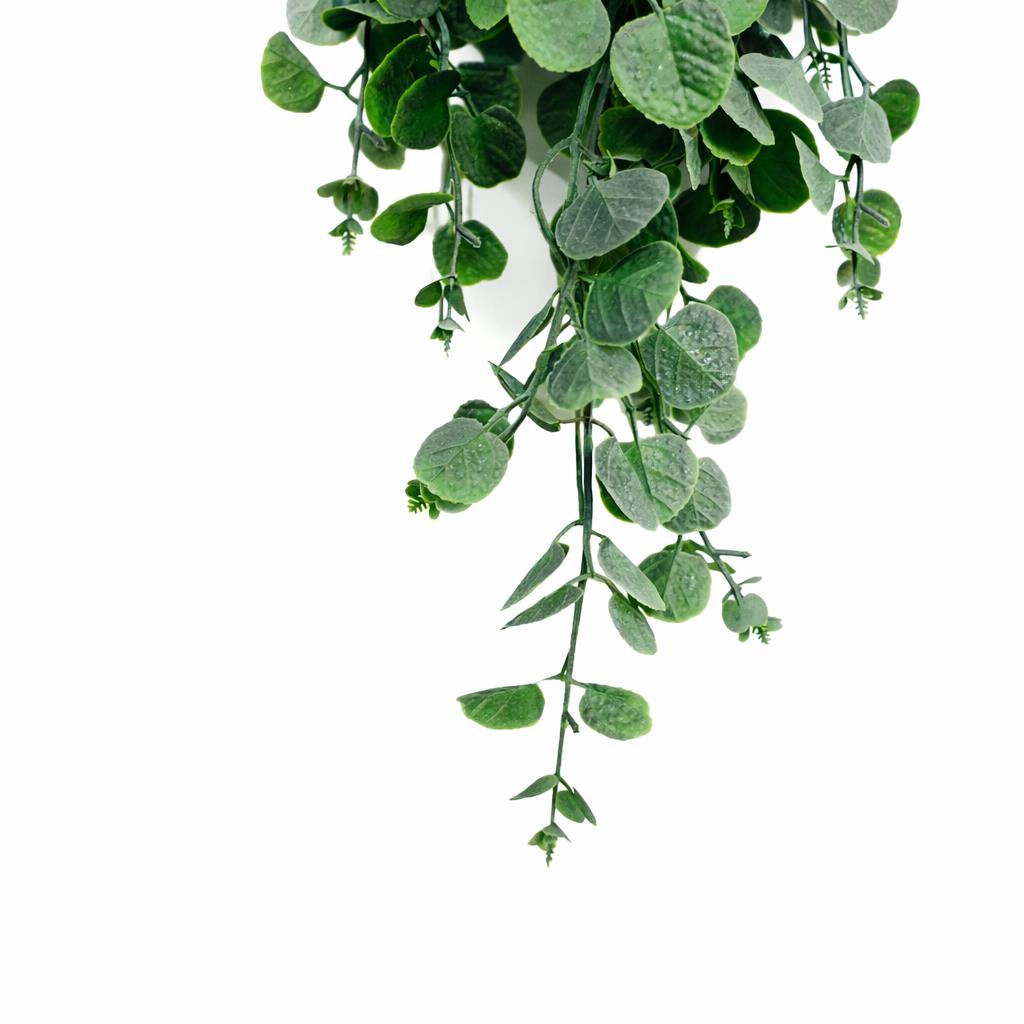 75cm Artificial Trailing Round Leaf Hanging Foliage Plant - Soft Eucalyptus Green