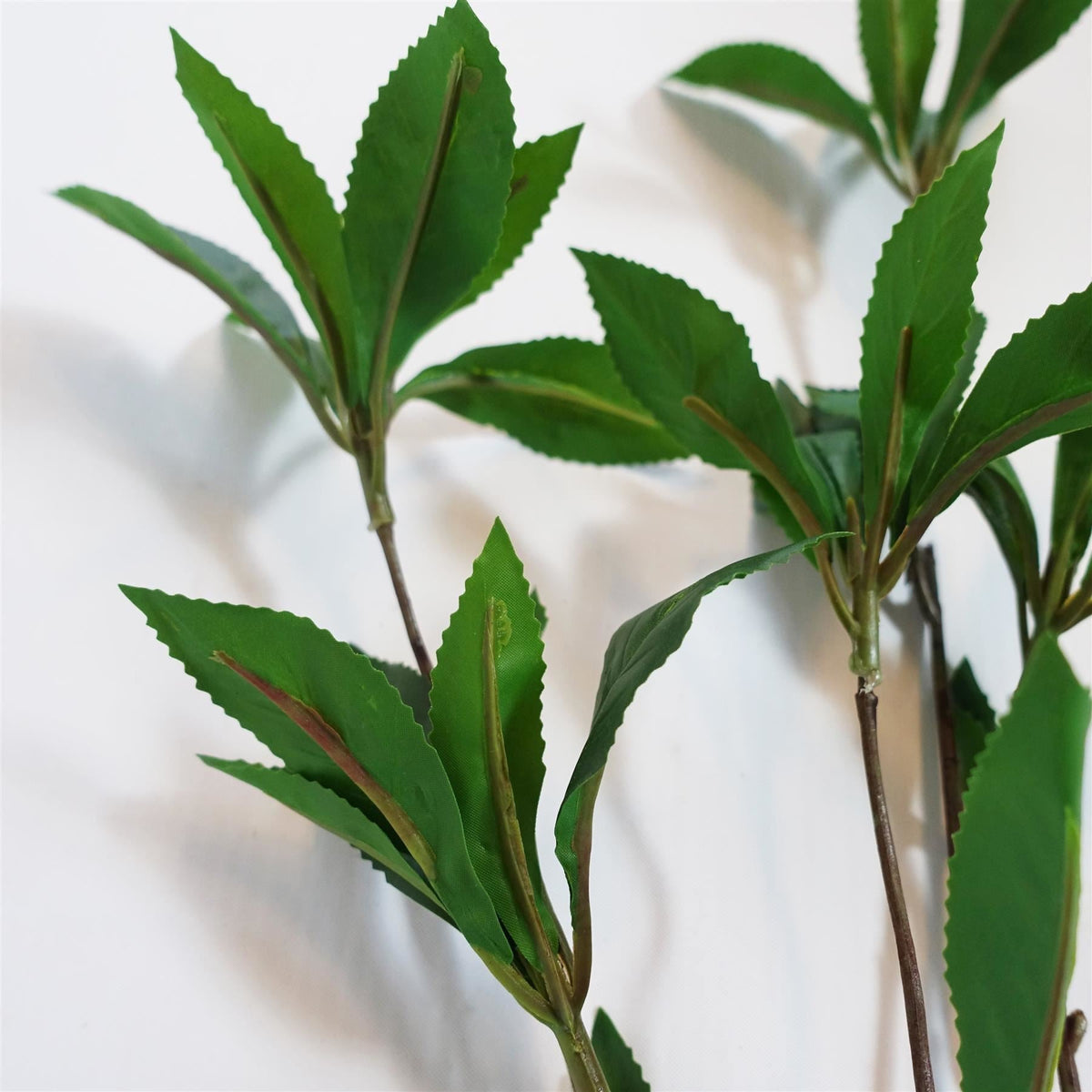 Pack of 6 x 55cm Artificial Laurel Leaf Spray Stem