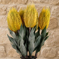 Pack of 6 x 75cm Banksia Menziesii Yellow Flower Stem Artificial styled in a room
