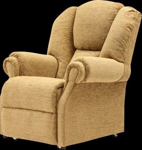 Petite Chair Style Upholstered