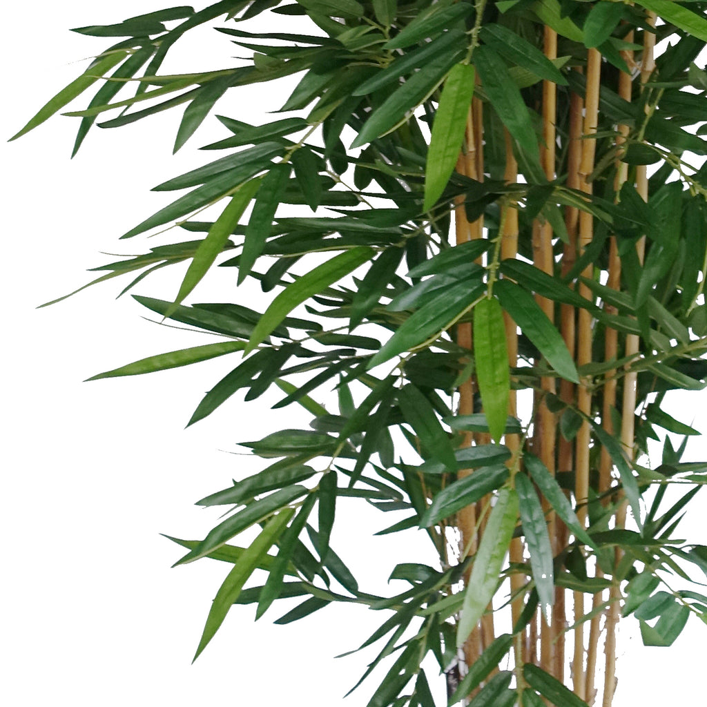 180cm Premium UV Resistant Bamboo