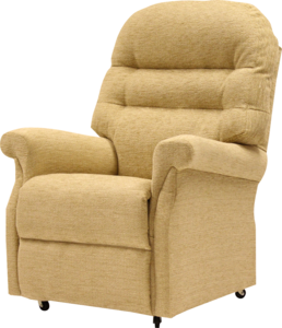 Petite Chair Style Upholstered