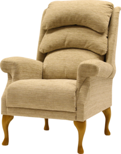 Petite Chair Style Upholstered