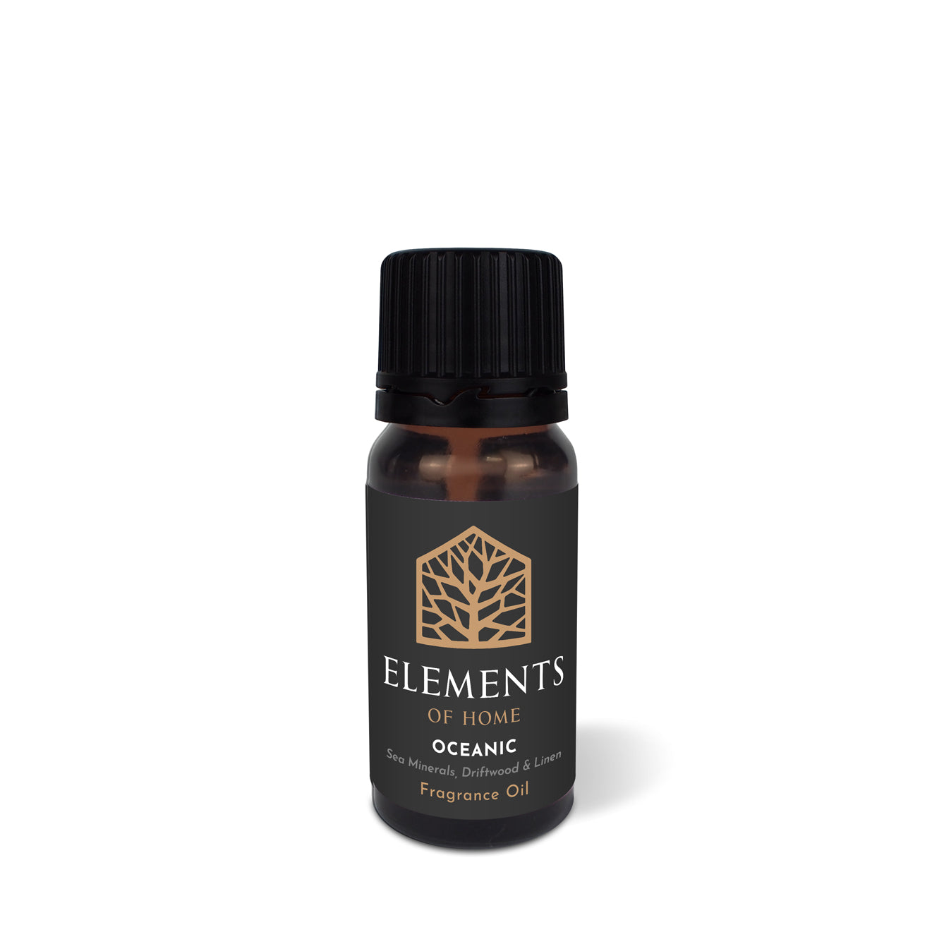 Oceanic Fragrance Oil 10ml